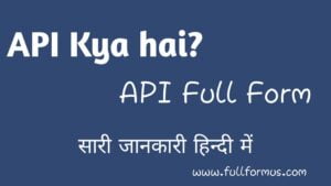 API Full Form In Hindi